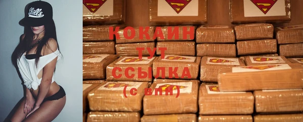 шишки Алзамай
