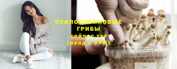 круглые Алексеевка