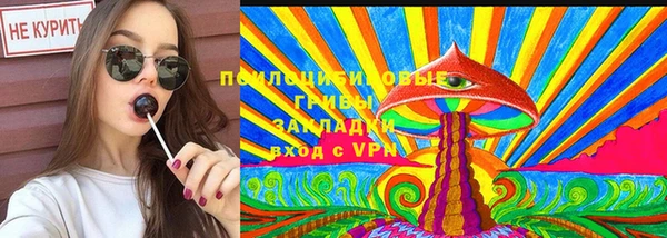шишки Алзамай