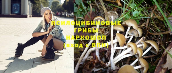 спиды Алексин