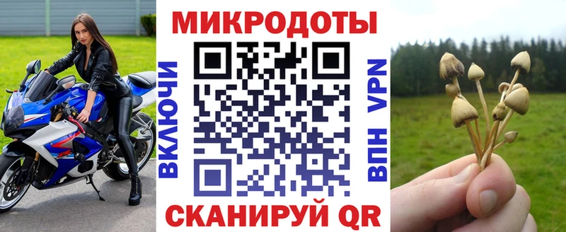 МЕГА   Мурманск  Галлюциногенные грибы Psilocybine cubensis 