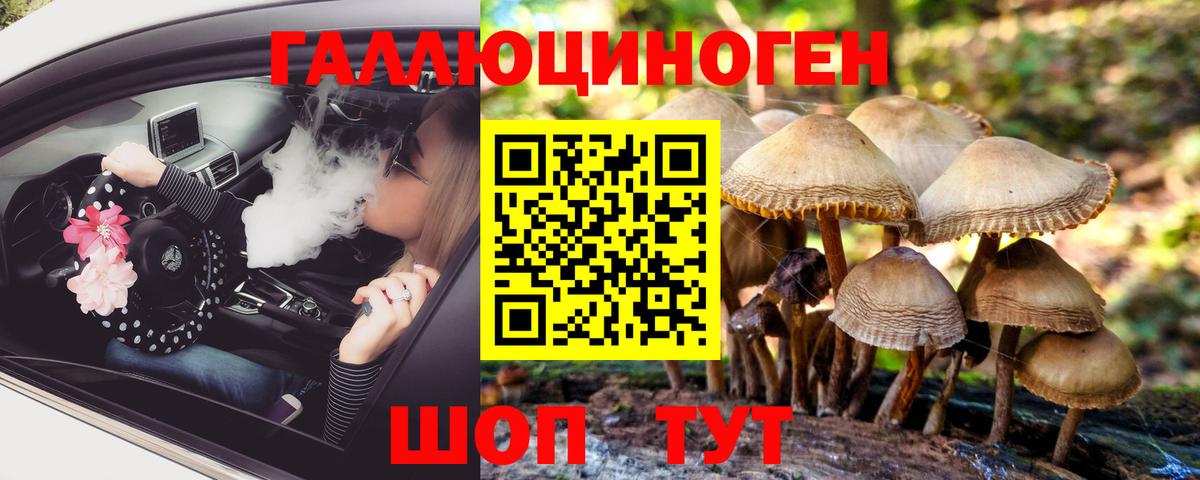 Псилоцибиновые грибы GOLDEN TEACHER Мурманск