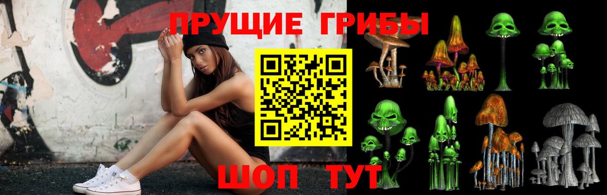Мурманск  Галлюциногенные грибы Magic Shrooms  Вход с VPN 