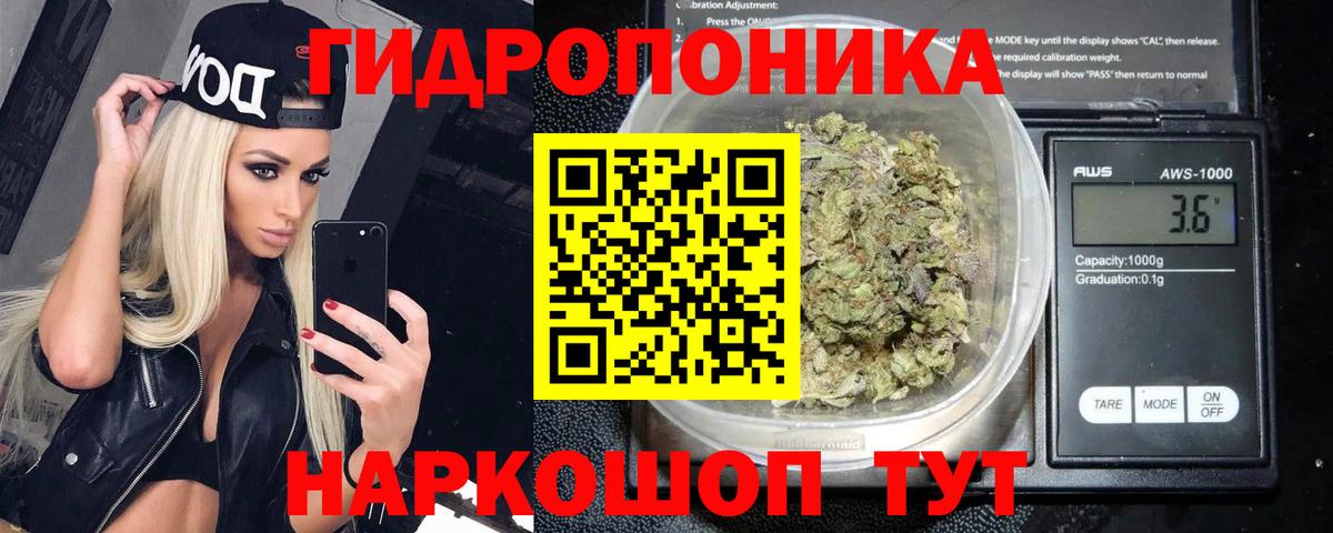 Шишки марихуана THC 21%  Шишки марихуана конопля  Вход с VPN  Мурманск 